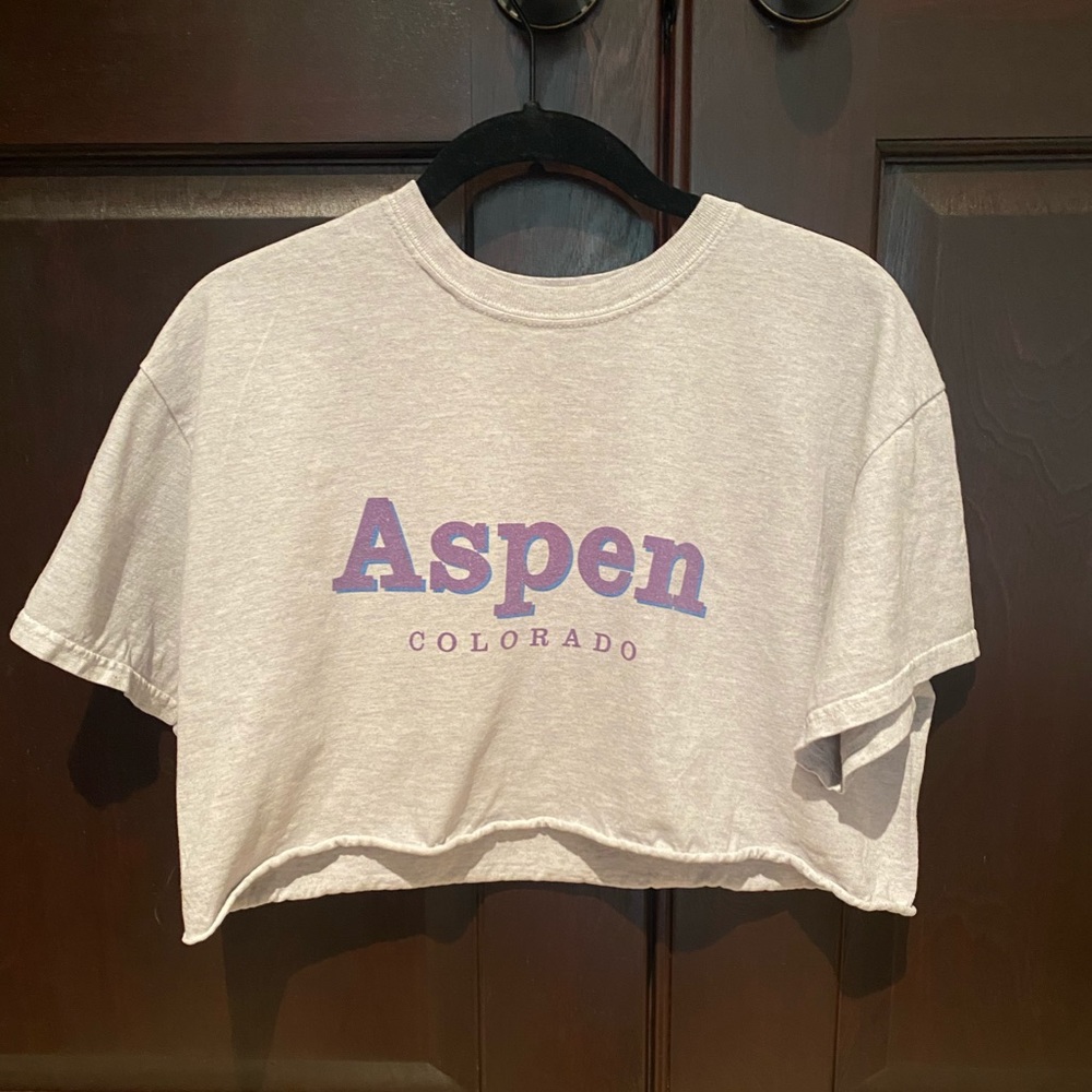 brandy melville crop top